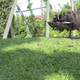 Illustration for article titled These Photos Were Taken By A Dog